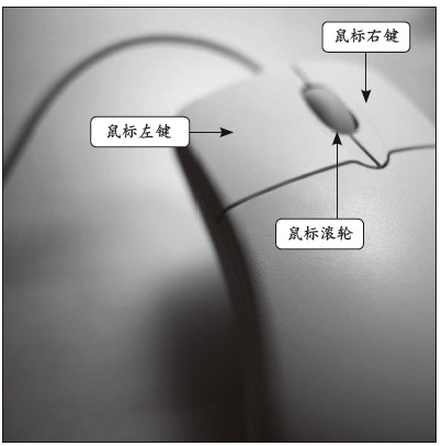 如何正确使用鼠标1