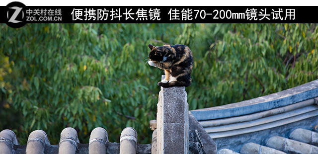 佳能70-200mm镜头试用1