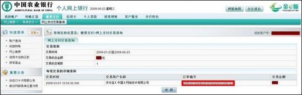 支付宝农业银行查询网上支付订单号流程3