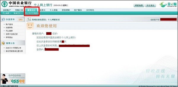 支付宝农业银行查询网上支付订单号流程1