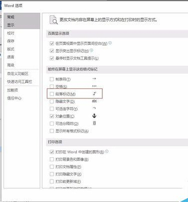 word 2016中大纲前面总是显示黑点该怎么去掉?4