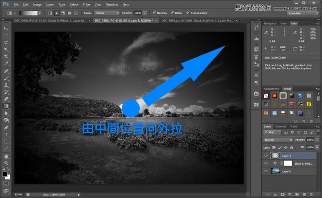 Photoshop把平凡的数码照片调成黑白效果7