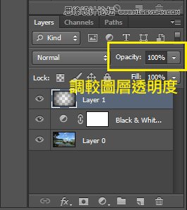 Photoshop把平凡的数码照片调成黑白效果8