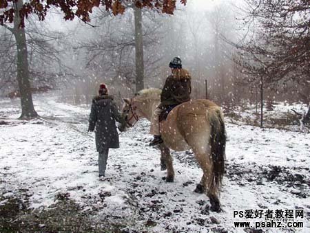 photoshop滤镜制作雪花飘飞果的外景图片6