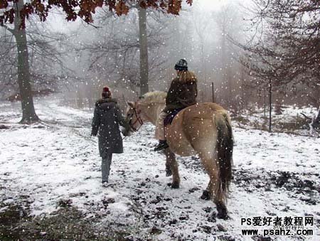 photoshop滤镜制作雪花飘飞果的外景图片5