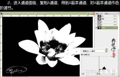 使用Photoshop快速通道抠出荷花抠图教程3