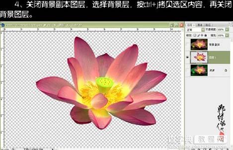 使用Photoshop快速通道抠出荷花抠图教程5