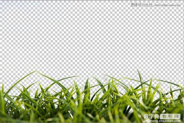 巧用Photoshop色彩范围抠出小草效果图5