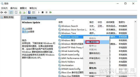 win10商店不能下载应用程序怎么办？13