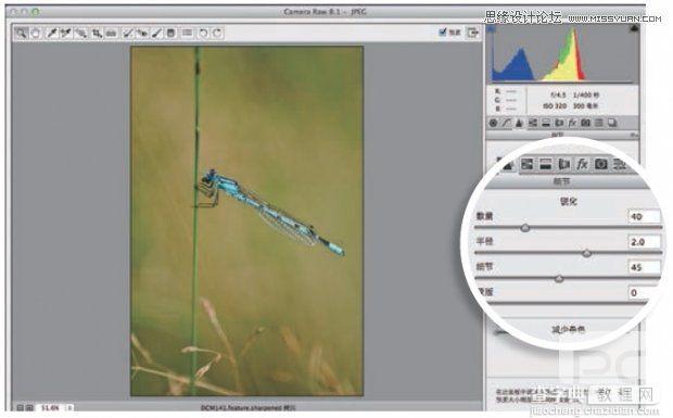 详细解析Photoshop 5种照片的锐化技巧1