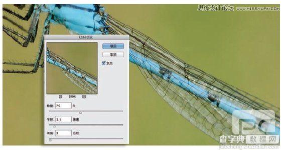 详细解析Photoshop 5种照片的锐化技巧4