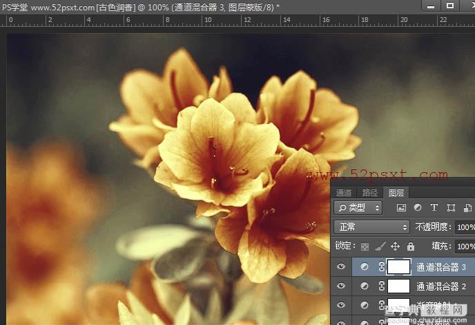 Photoshop打造古典韵味的花卉特写图片22