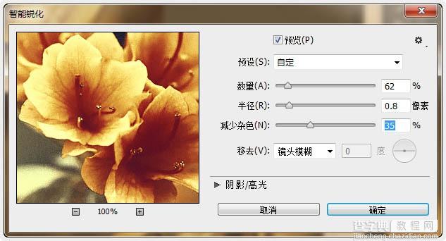 Photoshop打造古典韵味的花卉特写图片25