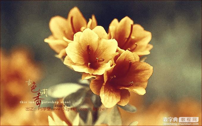 Photoshop打造古典韵味的花卉特写图片2