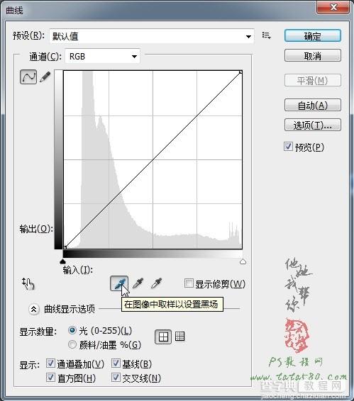 PS人物抠图教程：复杂头发的抠取5