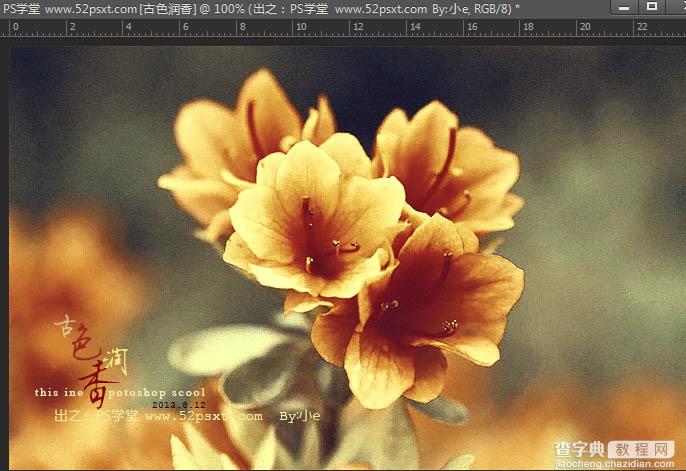 Photoshop打造古典韵味的花卉特写图片27
