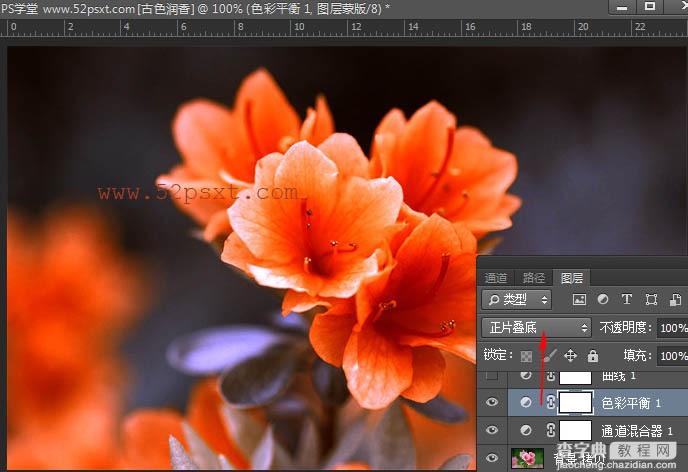 Photoshop打造古典韵味的花卉特写图片9
