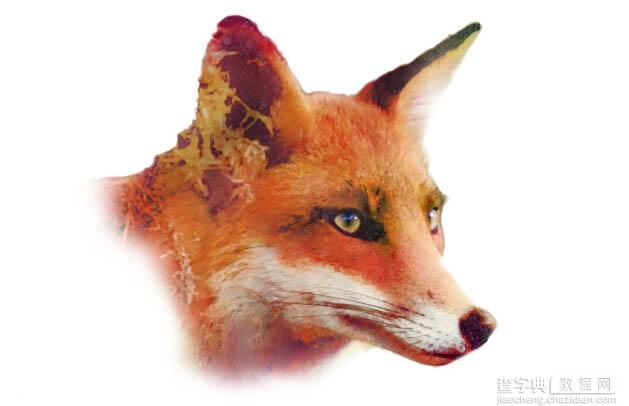 Photoshop制作精美的水彩狐狸头像10