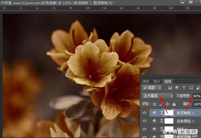 Photoshop打造古典韵味的花卉特写图片16