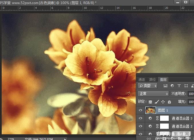 Photoshop打造古典韵味的花卉特写图片26