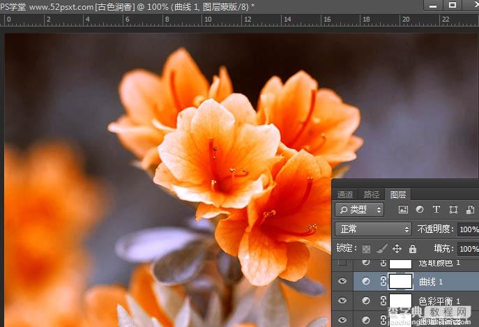 Photoshop打造古典韵味的花卉特写图片11