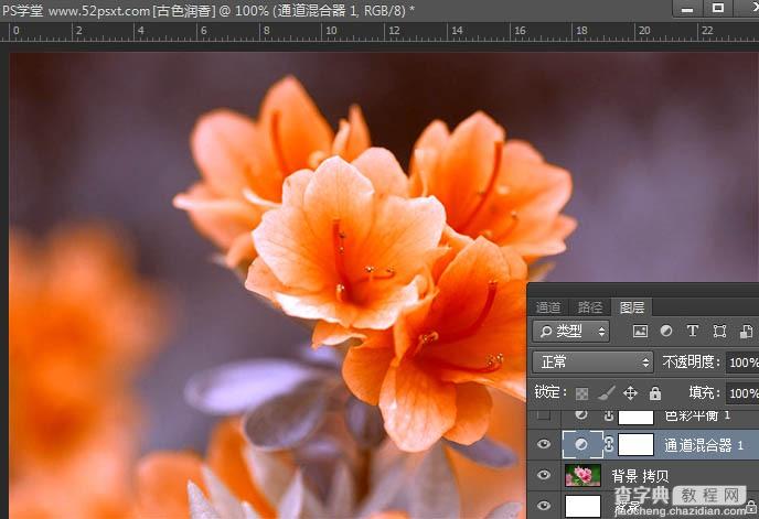 Photoshop打造古典韵味的花卉特写图片7