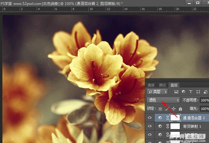 Photoshop打造古典韵味的花卉特写图片20