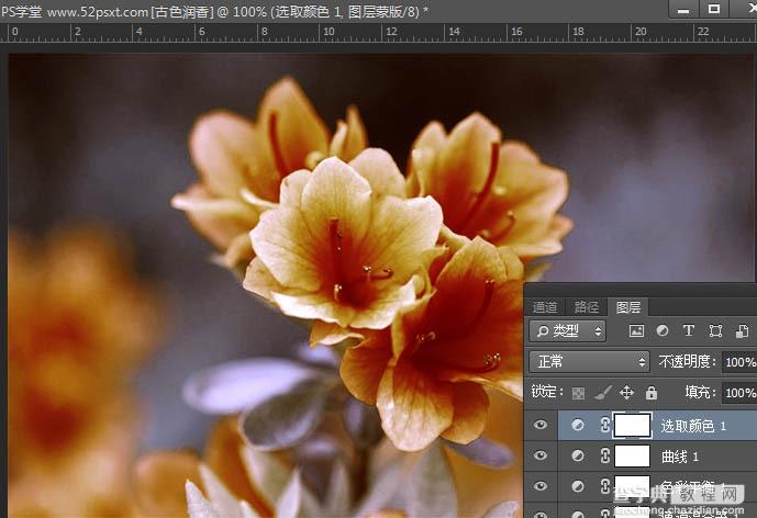 Photoshop打造古典韵味的花卉特写图片14
