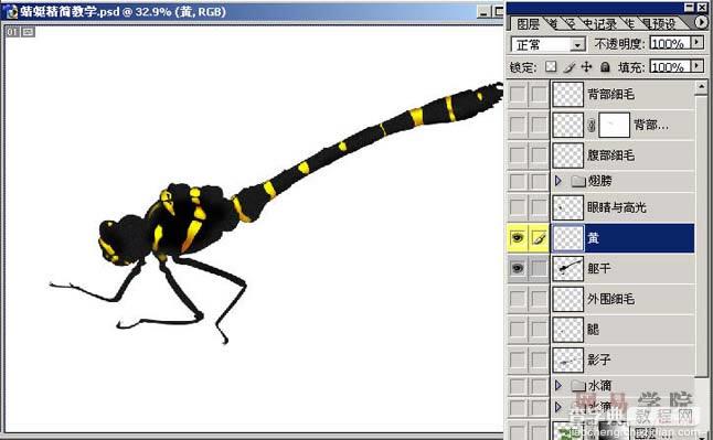 PS绘制蜻蜓的过程和效果6