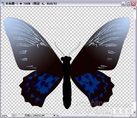 Photoshop绘制漂亮蝴蝶17