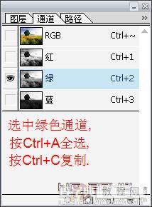 PS调色教程(6)6