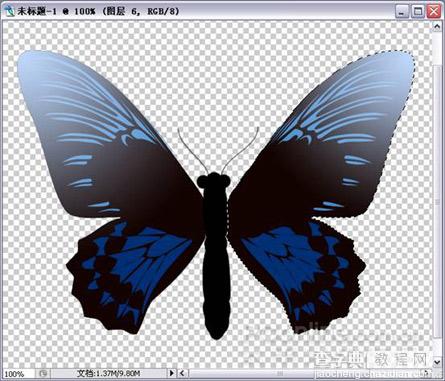 Photoshop绘制漂亮蝴蝶13