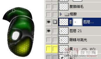 PS绘制蜻蜓的过程和效果18