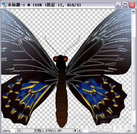 Photoshop绘制漂亮蝴蝶23