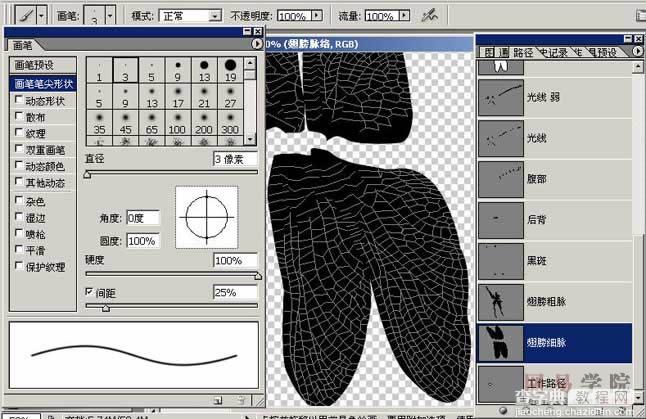 PS绘制蜻蜓的过程和效果23