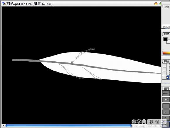 Photoshop绘制逼真的洁白羽毛5