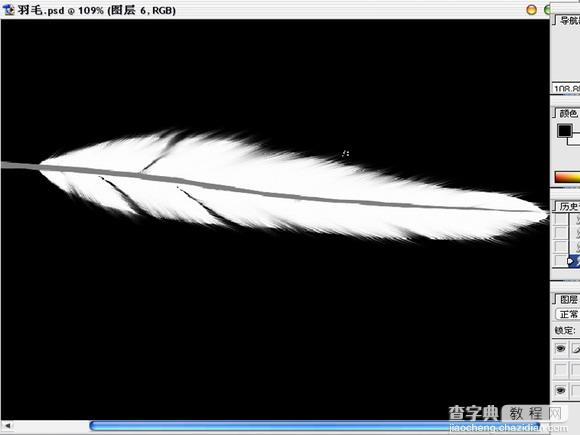 Photoshop绘制逼真的洁白羽毛8