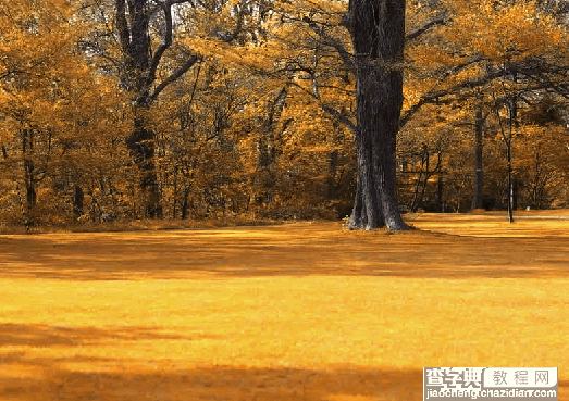 Photoshop将春景照片处理成金秋景色4