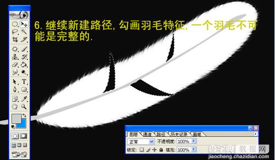 Photoshop绘制逼真的羽毛6