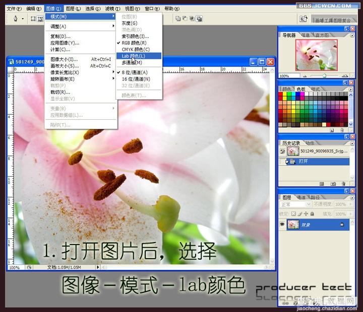 Photoshop处理素雅水粉花卉特效3