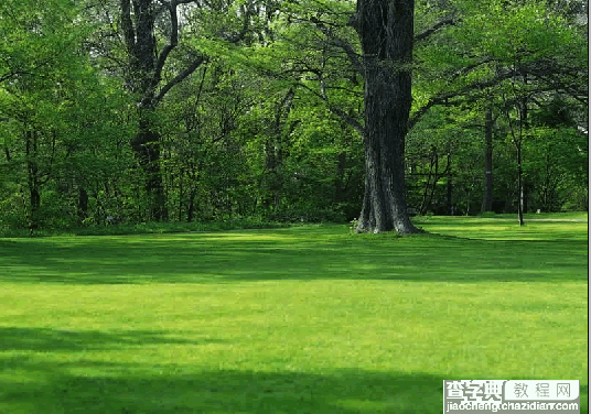 Photoshop将春景照片处理成金秋景色1