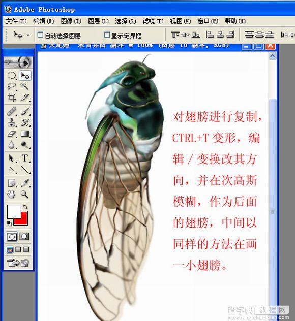 Photoshop手绘一只蝉29