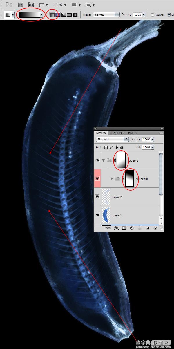 photoshop绘制一个模拟X射线香蕉图像8