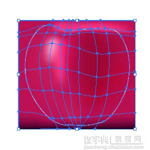 Illustrator渐变网格绘制苹果15