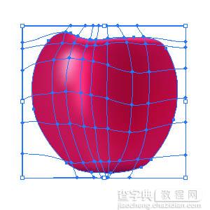 Illustrator渐变网格绘制苹果16