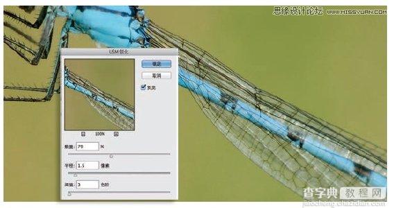 详细解析Photoshop五种照片的锐化技巧4