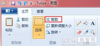 利用win7画图工具裁剪图片的方法2