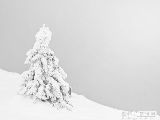 拍摄美丽雪景的四点诀窍5