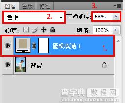 利用Photoshop图案工具加强照片效果8