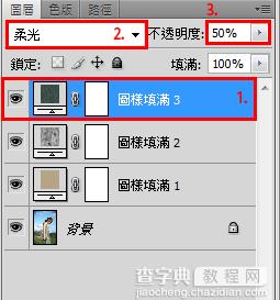 利用Photoshop图案工具加强照片效果13